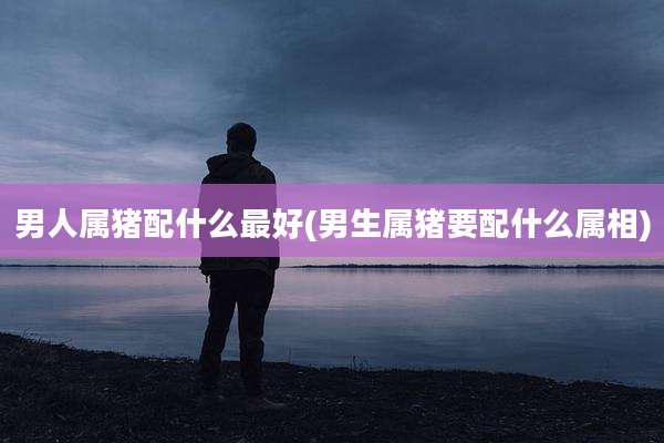 男人属猪配什么最好(男生属猪要配什么属相)