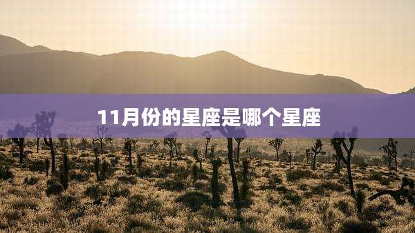 11月份的星座是哪个星座