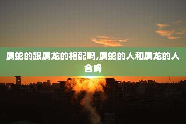 属蛇的跟属龙的相配吗,属蛇的人和属龙的人合吗