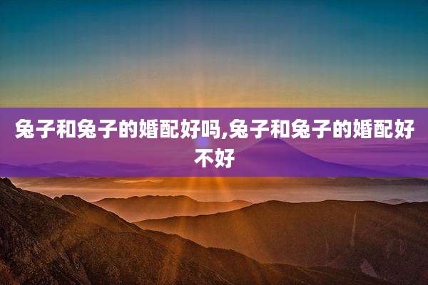兔子和兔子的婚配好吗,兔子和兔子的婚配好不好
