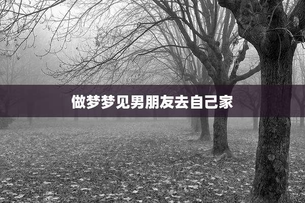 做梦梦见男朋友去自己家