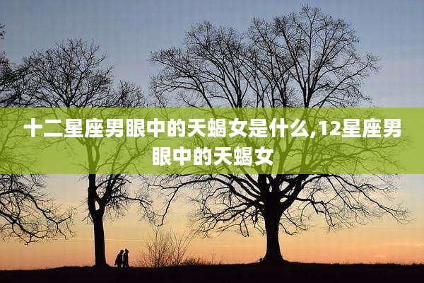 十二星座男眼中的天蝎女是什么,12星座男眼中的天蝎女