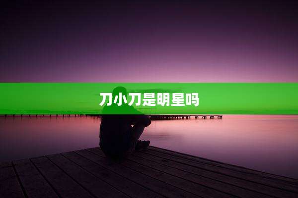 刀小刀是明星吗