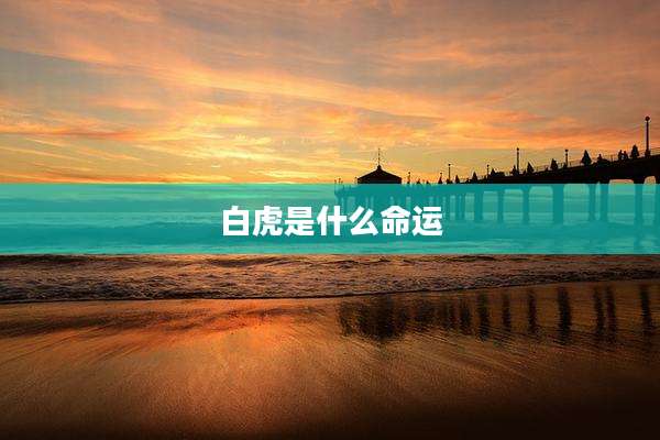 白虎是什么命运