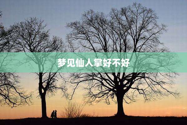 梦见仙人掌好不好
