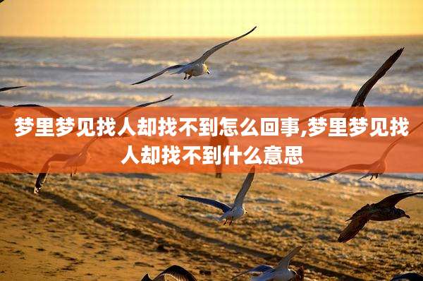 梦里梦见找人却找不到怎么回事,梦里梦见找人却找不到什么意思