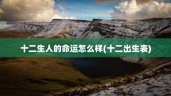 十二生人的命运怎么样(十二出生表)