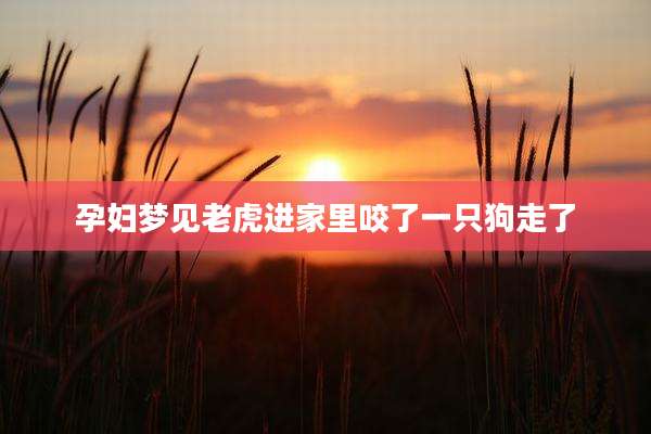 孕妇梦见老虎进家里咬了一只狗走了
