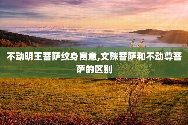 不动明王菩萨纹身寓意,文殊菩萨和不动尊菩萨的区别