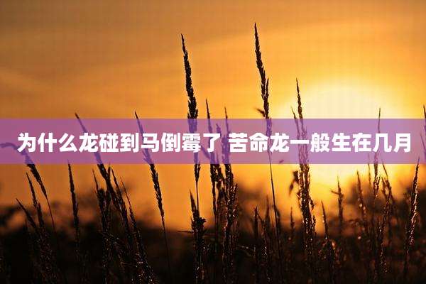 为什么龙碰到马倒霉了 苦命龙一般生在几月