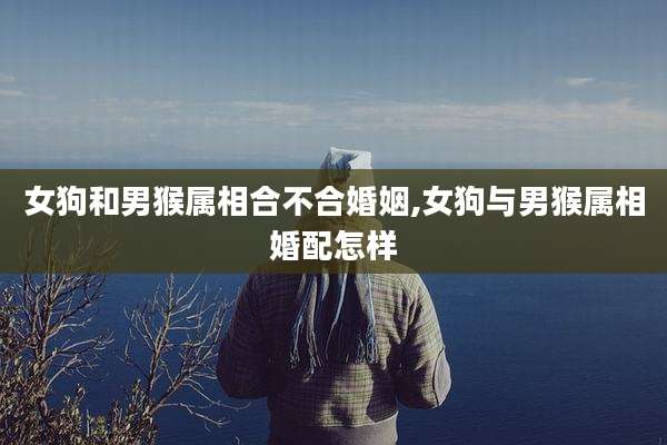 女狗和男猴属相合不合婚姻,女狗与男猴属相婚配怎样