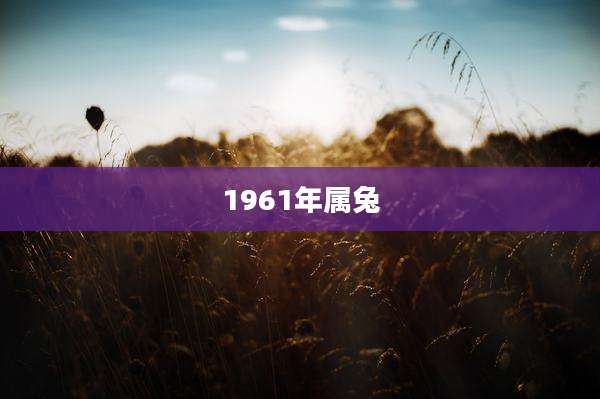 1961年属兔