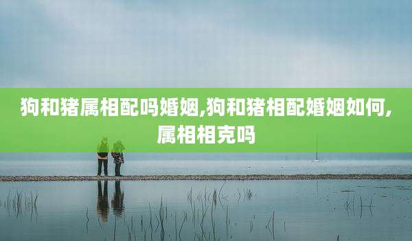 狗和猪属相配吗婚姻,狗和猪相配婚姻如何,属相相克吗