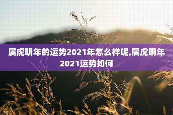 属虎明年的运势2021年怎么样呢,属虎明年2021运势如何