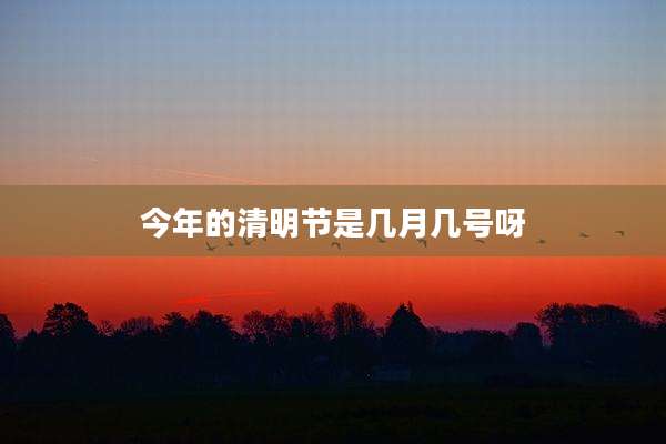 今年的清明节是几月几号呀