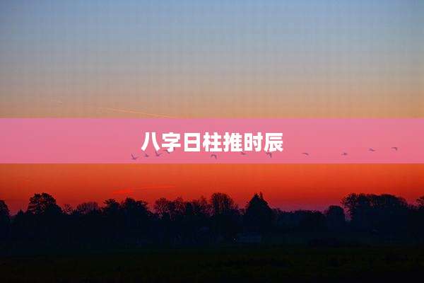 八字日柱推时辰