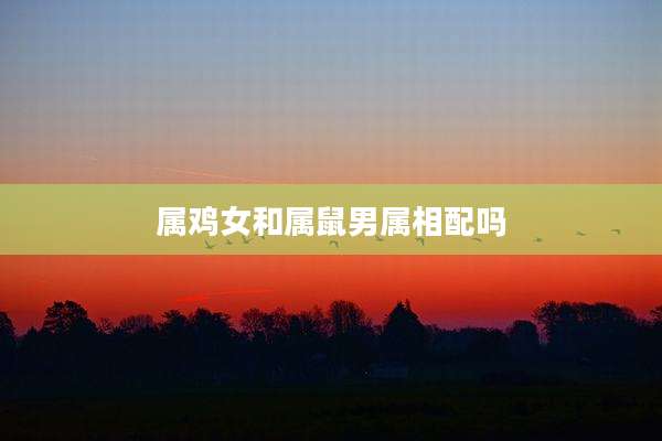 属鸡女和属鼠男属相配吗
