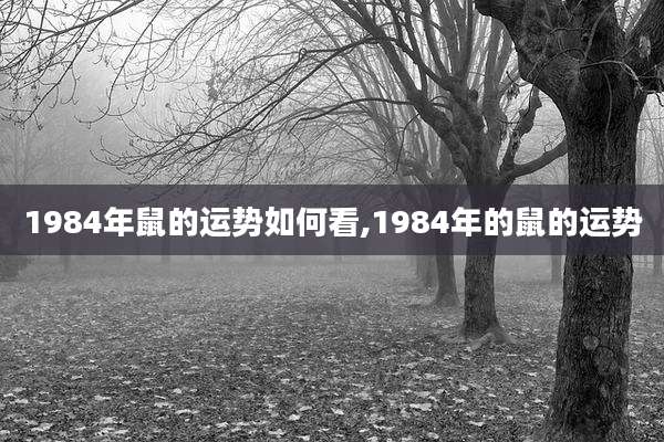 1984年鼠的运势如何看,1984年的鼠的运势