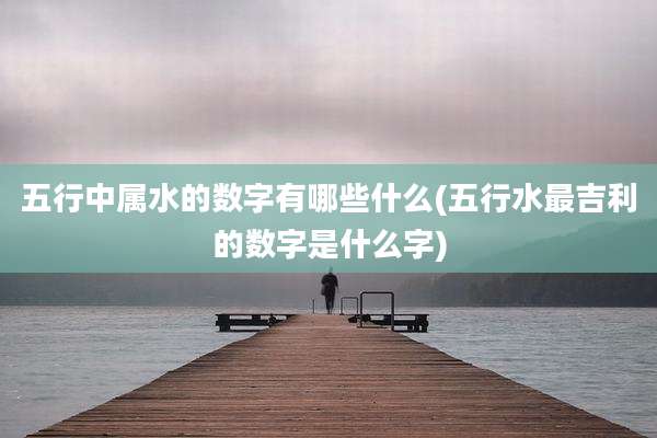 五行中属水的数字有哪些什么(五行水最吉利的数字是什么字)