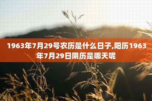 1963年7月29号农历是什么日子,阳历1963年7月29日阴历是哪天呢