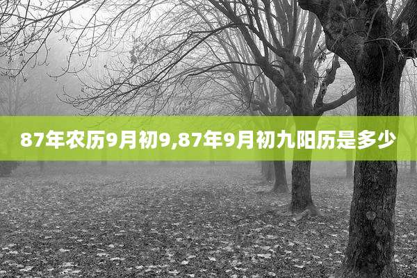 87年农历9月初9,87年9月初九阳历是多少
