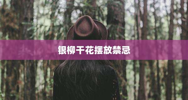 银柳干花摆放禁忌