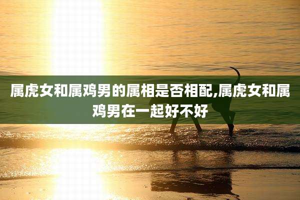 属虎女和属鸡男的属相是否相配,属虎女和属鸡男在一起好不好
