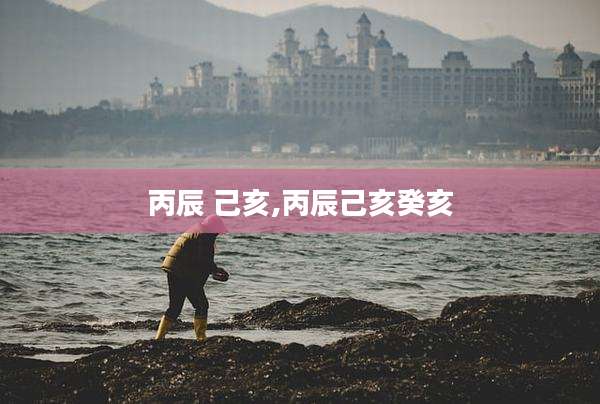丙辰 己亥,丙辰己亥癸亥