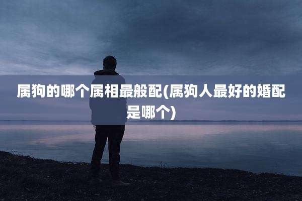属狗的哪个属相最般配(属狗人最好的婚配是哪个)