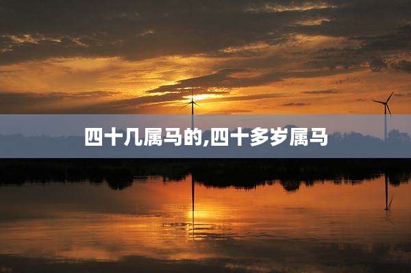 四十几属马的,四十多岁属马