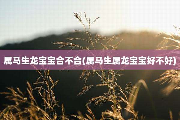 属马生龙宝宝合不合(属马生属龙宝宝好不好)