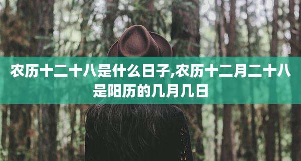 农历十二十八是什么日子,农历十二月二十八是阳历的几月几日