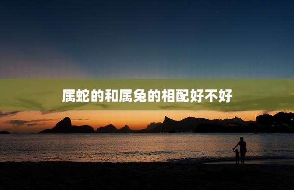 属蛇的和属兔的相配好不好