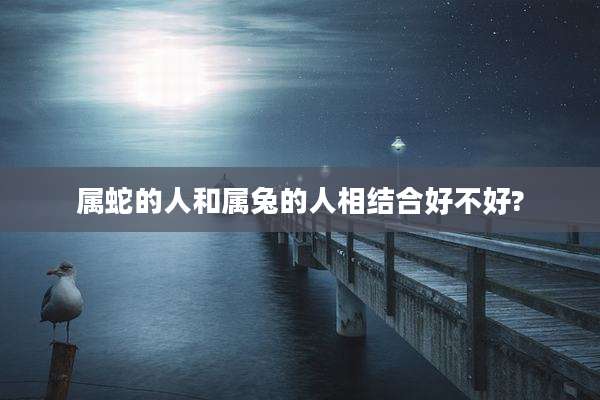 属蛇的人和属兔的人相结合好不好?