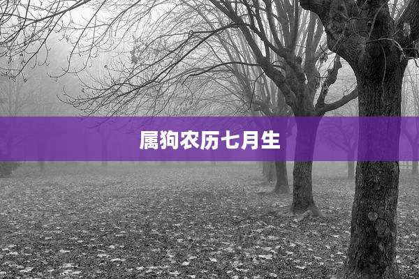 属狗农历七月生