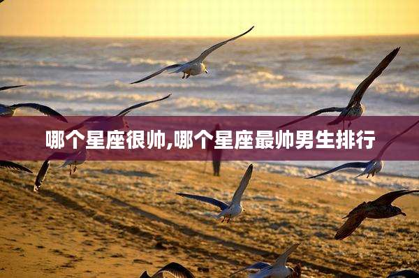 哪个星座很帅,哪个星座最帅男生排行