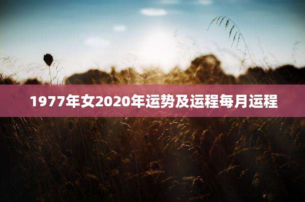 1977年女2020年运势及运程每月运程