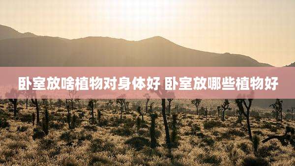 卧室放啥植物对身体好 卧室放哪些植物好