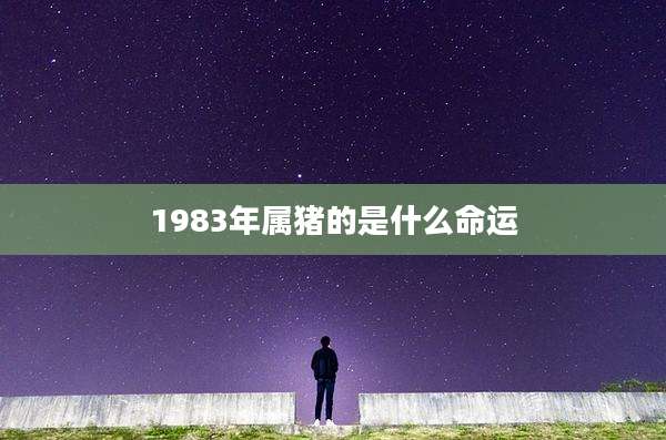 1983年属猪的是什么命运