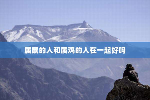 属鼠的人和属鸡的人在一起好吗
