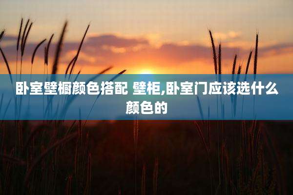 卧室壁橱颜色搭配 壁柜,卧室门应该选什么颜色的
