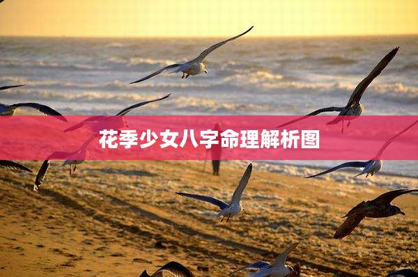 花季少女八字命理解析图