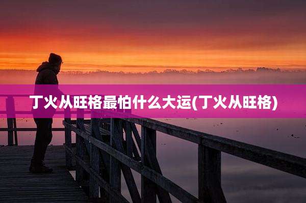 丁火从旺格最怕什么大运(丁火从旺格)