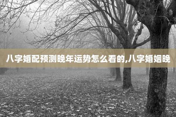 八字婚配预测晚年运势怎么看的,八字婚姻晚