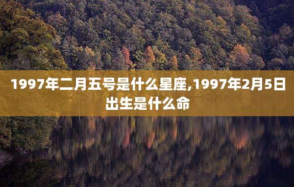 1997年二月五号是什么星座,1997年2月5日出生是什么命