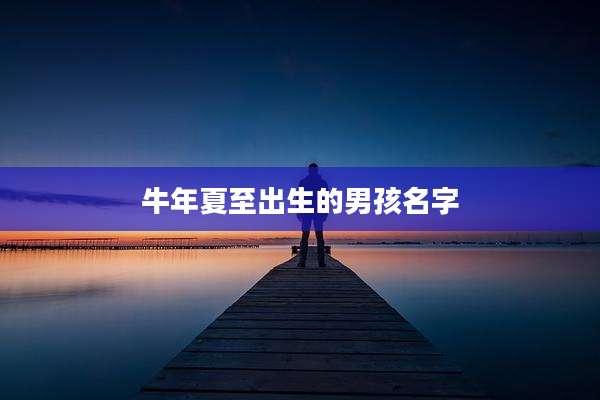 牛年夏至出生的男孩名字