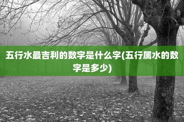 五行水最吉利的数字是什么字(五行属水的数字是多少)