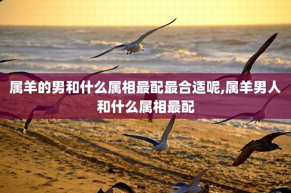 属羊的男和什么属相最配最合适呢,属羊男人和什么属相最配