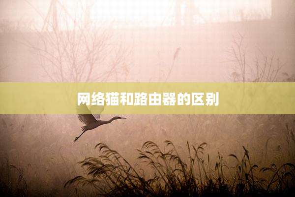 网络猫和路由器的区别