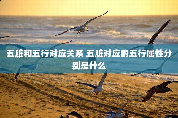 五脏和五行对应关系 五脏对应的五行属性分别是什么